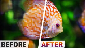 NVIDIA Unveils ‘Enhance’: The Latest Breakthrough in AI Technology