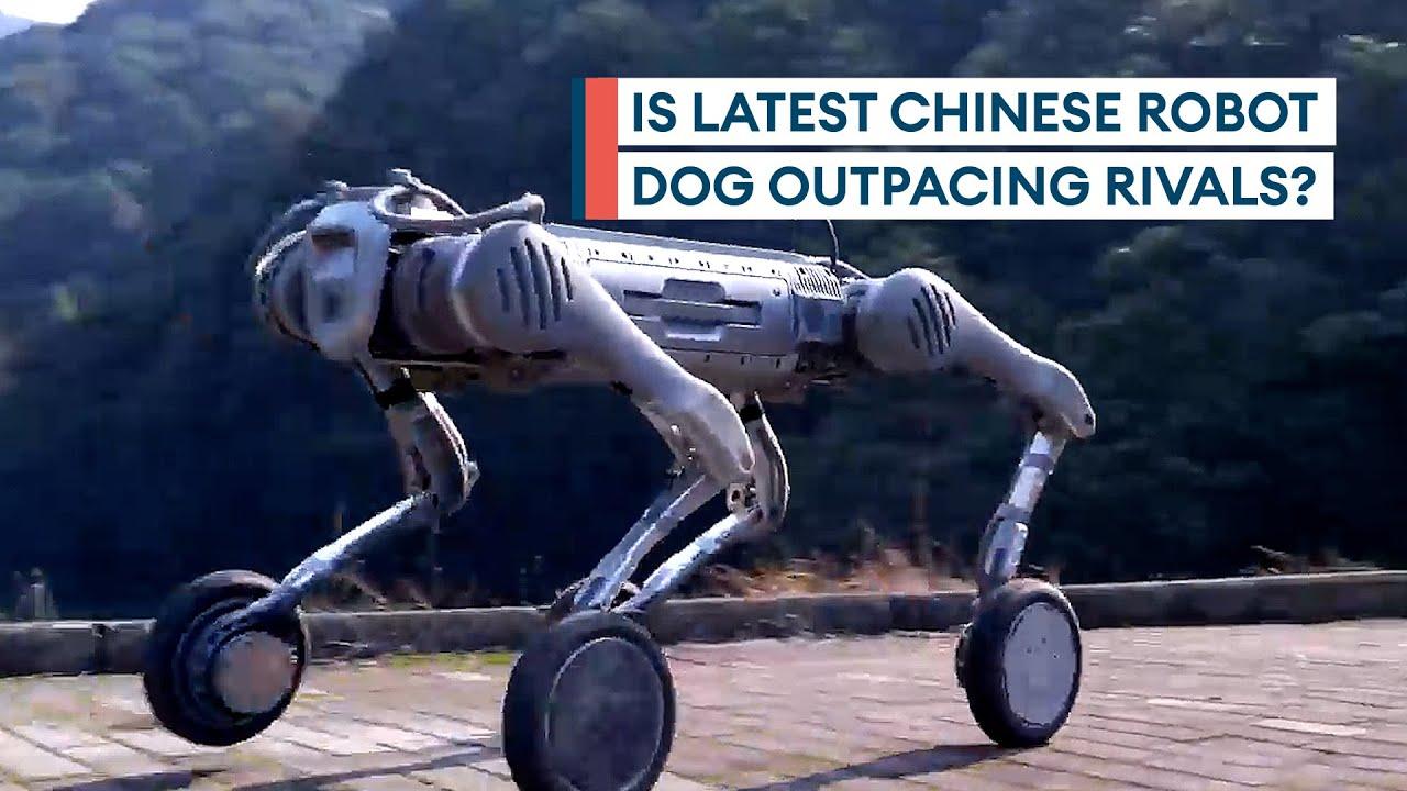 China Unveils Impressive Unitree B2-W Robot Dog with Advanced Agility and Balance